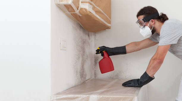 Professional Bathroom Mold Removal technician working in Midland, WA